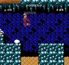 Screen gry Hudson's Adventure Island III: 