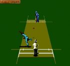 International Cricket:  