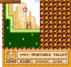 Kirby's Adventure:  