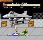 Master Fighter II:  