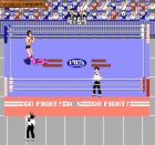 Pro Wrestling:  