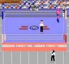 Pro Wrestling:  