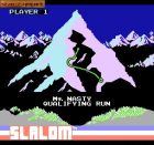 Slalom:  