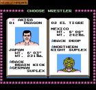 Tecmo World Wrestling:  