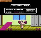 Tecmo World Wrestling:  