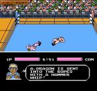 Tecmo World Wrestling:  