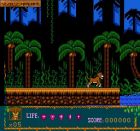 Screen gry The Lion King III: Simon and Pumba: 