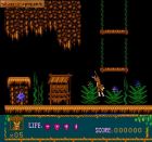 Screen gry The Lion King III: Simon and Pumba: 