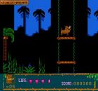 Screen gry The Lion King III: Simon and Pumba: 