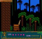 Screen gry The Lion King III: Simon and Pumba: 