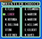 WCW World Championship Wrestling:  