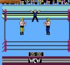 WCW World Championship Wrestling:  