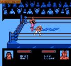 Obrazek z gry WWF King of the Ring