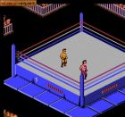 WWF WrestleMania Challenge:  