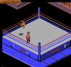 WWF WrestleMania Challenge:  