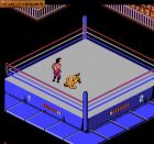 WWF WrestleMania Challenge:  