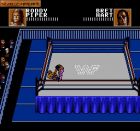 Screen gry WWF WrestleMania: Steel Cage Challenge:Mała masturbacja przeciwnika. 