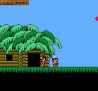 Adventure Island IV:  