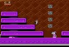 Screen gry Chip 'n Dale Rescue Rangers: 