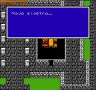 Screen gry Final Fantasy (PL): 