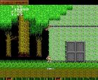 Obrazek z gry Ghosts 'N Goblins