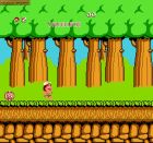 Screen - Hudson's Adventure Island