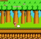 Screen - Hudson's Adventure Island