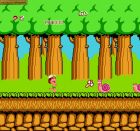 Screen - Hudson's Adventure Island
