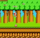 Screen - Hudson's Adventure Island