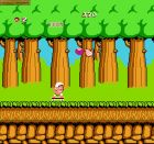 Screen - Hudson's Adventure Island