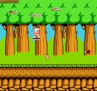 Screen - Hudson's Adventure Island