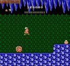 Screen gry Hudson's Adventure Island II: 