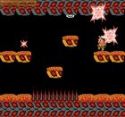 Screen gry Hudson's Adventure Island II: 