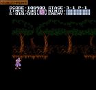 Obrazek z gry Ninja Gaiden II: The Dark Sword of Chaos