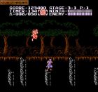 Obrazek z gry Ninja Gaiden II: The Dark Sword of Chaos