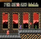 Obrazek z gry Ninja Gaiden II: The Dark Sword of Chaos