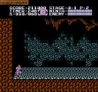 Obrazek z gry Ninja Gaiden II: The Dark Sword of Chaos