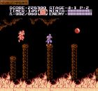 Obrazek z gry Ninja Gaiden II: The Dark Sword of Chaos