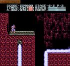 Obrazek z gry Ninja Gaiden II: The Dark Sword of Chaos