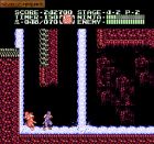 Obrazek z gry Ninja Gaiden II: The Dark Sword of Chaos