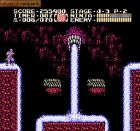 Obrazek z gry Ninja Gaiden II: The Dark Sword of Chaos