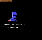 Obrazek z gry Ninja Gaiden II: The Dark Sword of Chaos
