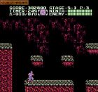 Obrazek z gry Ninja Gaiden II: The Dark Sword of Chaos