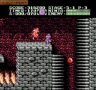Obrazek z gry Ninja Gaiden II: The Dark Sword of Chaos