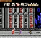 Obrazek z gry Ninja Gaiden II: The Dark Sword of Chaos