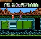 Obrazek z gry Ninja Gaiden II: The Dark Sword of Chaos
