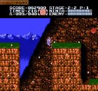 Obrazek z gry Ninja Gaiden II: The Dark Sword of Chaos