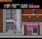 Ninja Gaiden:  