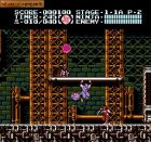 Ninja Gaiden III: The Ancient Ship of Doom:  