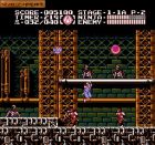 Ninja Gaiden III: The Ancient Ship of Doom:  